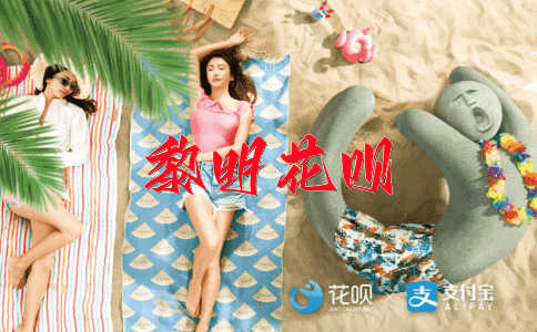 纲举目张花呗